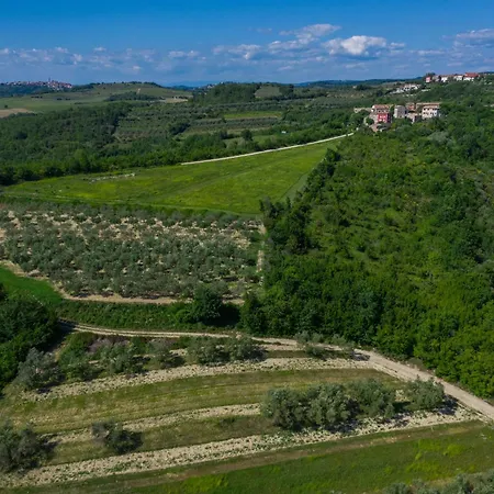 Skraline For 6 People Near Umag With Salt-water Private Pool Villa